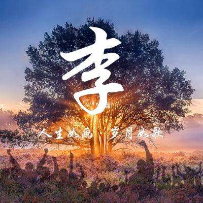 文化中国行｜马东峰：良渚博物院要展示全面真实的古代中国和现代中国